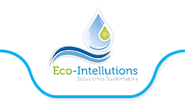 Eco Intellutions
